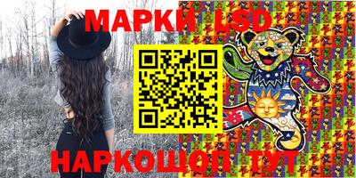 индика Пыть-Ях