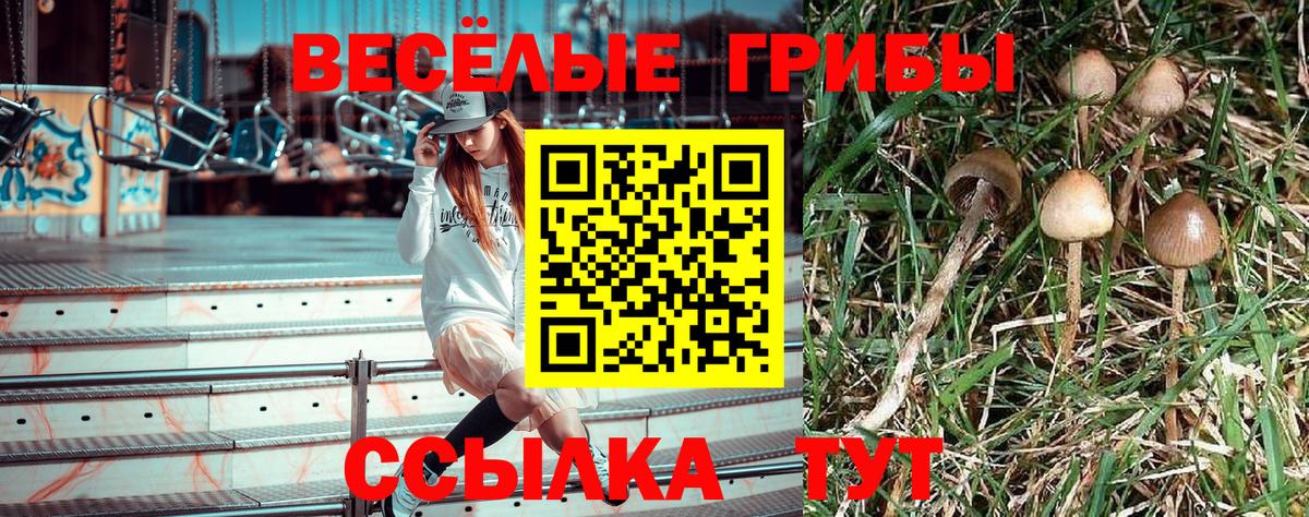 Сатка  Галлюциногенные грибы GOLDEN TEACHER  Вход с VPN  Галлюциногенные грибы прущие грибы 